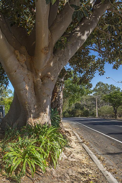 Stoneleigh Cottage Bed And Breakfast Angaston Extérieur photo